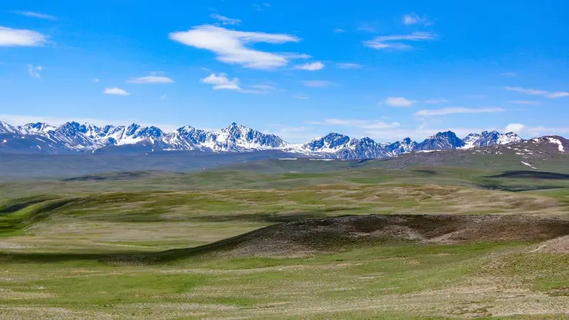 Discover the Untamed Beauty of Deosai National Park: A Must-Visit Destination