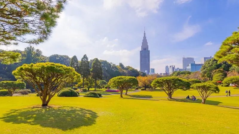 Shinjuku Gyoen National Garden: Discovering Tranquility in the Heart of Tokyo